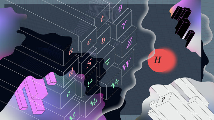 An illustration of the standard model